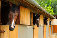 free Polton stable construction quotes